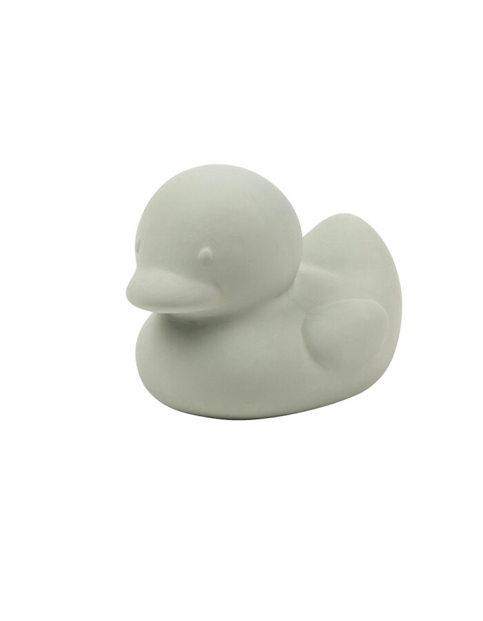 Jouet de Bain Canard Caoutchouc (Nattou)