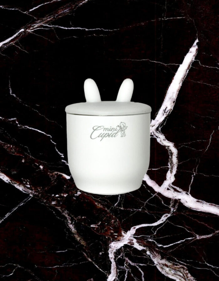 Chauffe biberon portable (Mini Cupid)