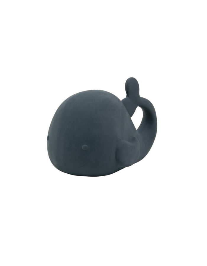 Jouet de Bain Baleine Caoutchouc (Nattou)
