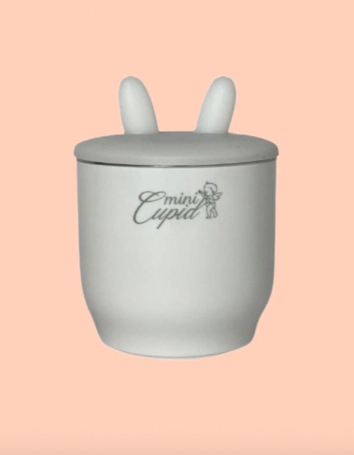 Chauffe biberon portable 2022 (Mini Cupid)