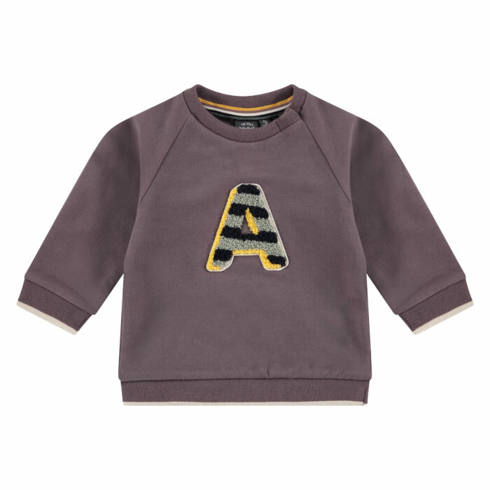 Sweat bébé garçon Aubergine FW23 (Babyface)