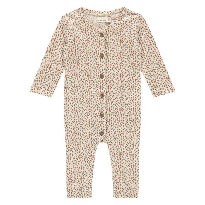 Combi manches longues Fleurs  (Tiny Story AW25)