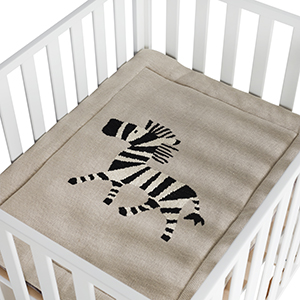 FOND DE PARC - ZEBRA (Quax) – Image 2