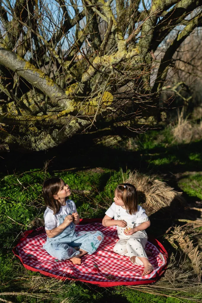 3-in-1 tapis de jeu & sac à jouets outdoor - pic nic (Play and Go) – Image 4