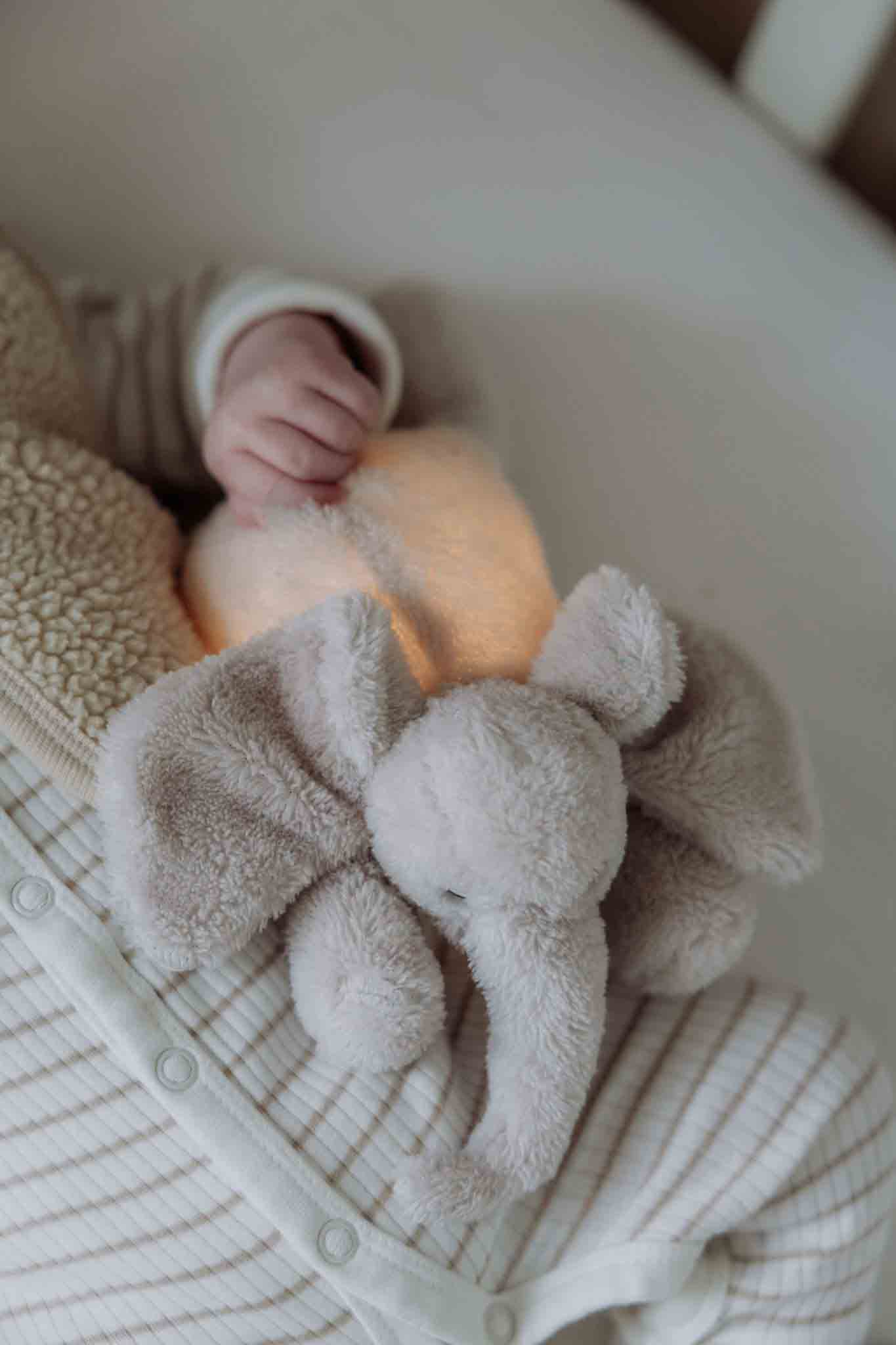 George (blush) - Plush night light (flow) – Image 2