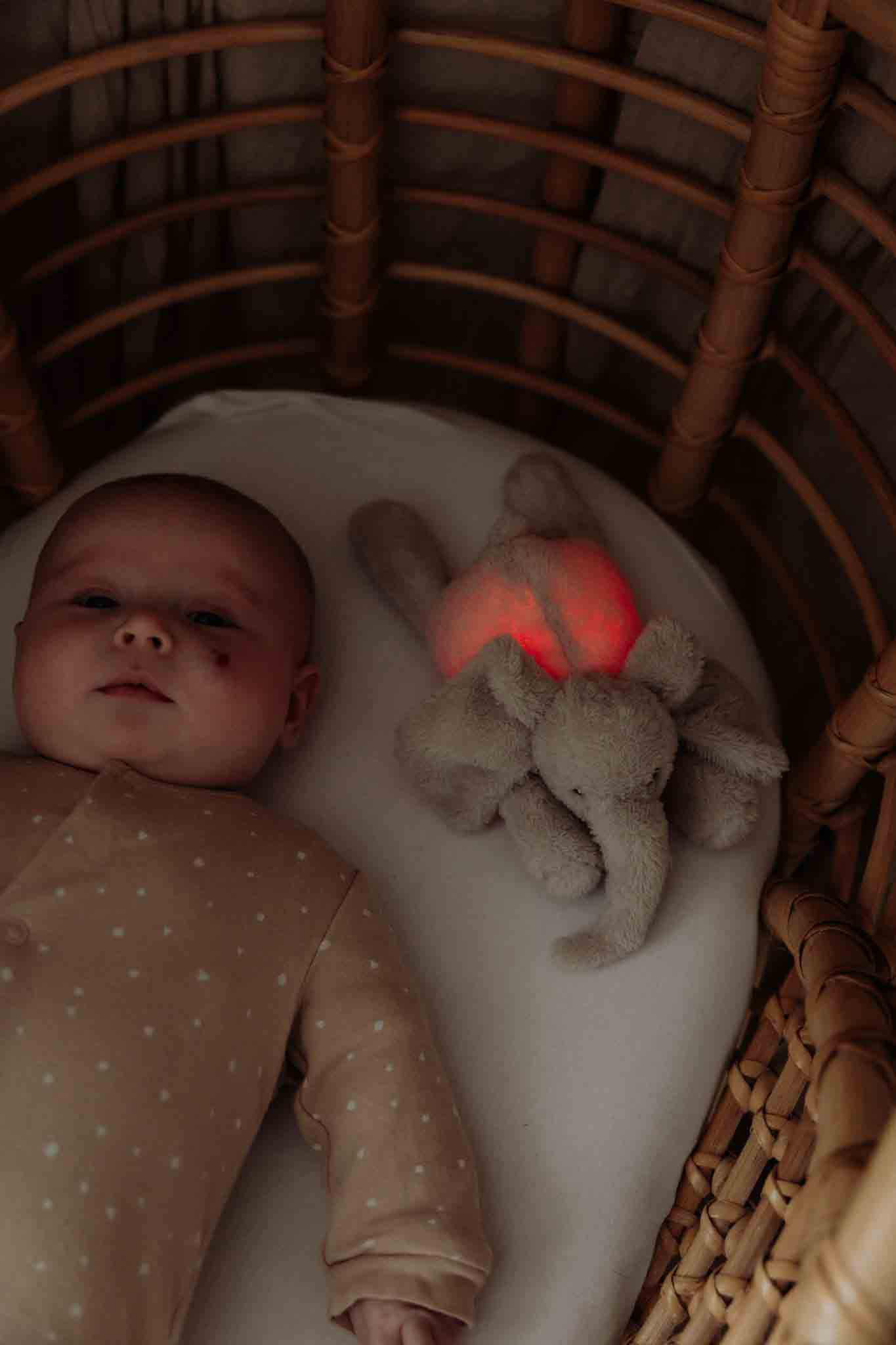 George (blush) - Plush night light (flow) – Image 4